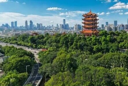 麻豆国内剧情av在线素人搭讪-当素人与AV相遇，揭秘国内麻豆情节下的线上邂逅